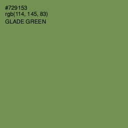 #729153 - Glade Green Color Image
